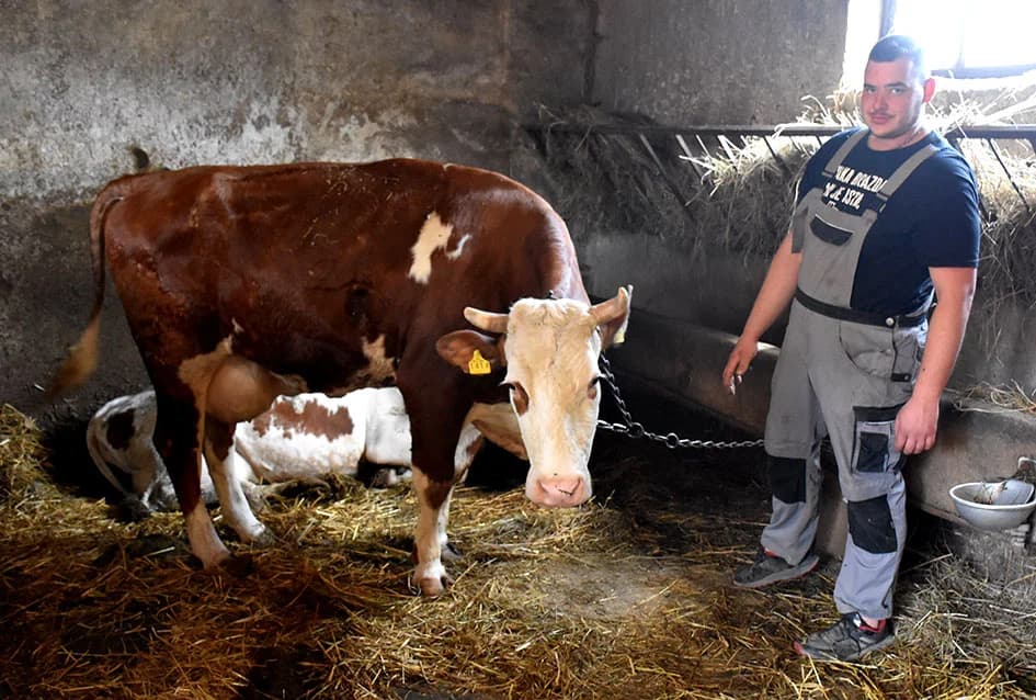 Sa proizvodnje mlijeka prešli na tov junadi