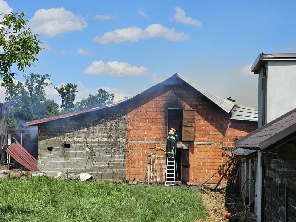 Gori