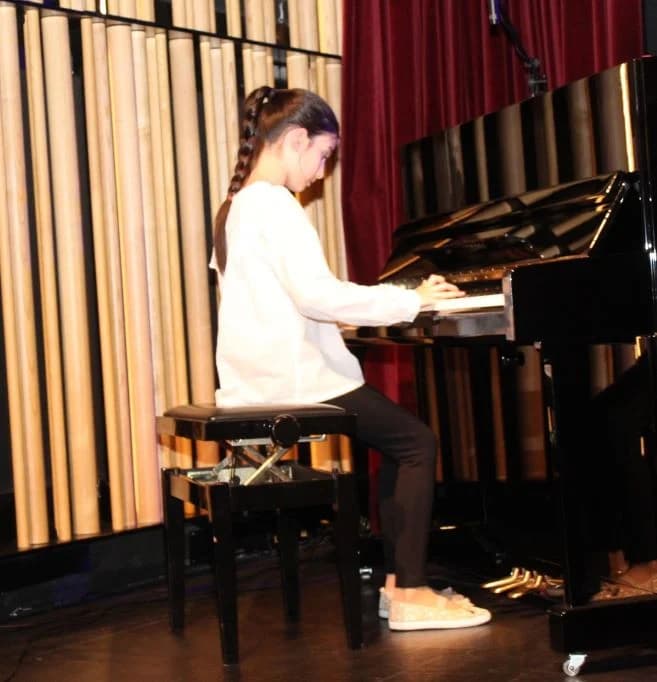Održan završni koncert učenika Glazbene škole Požega Područnog odjeljenja u Pleternici