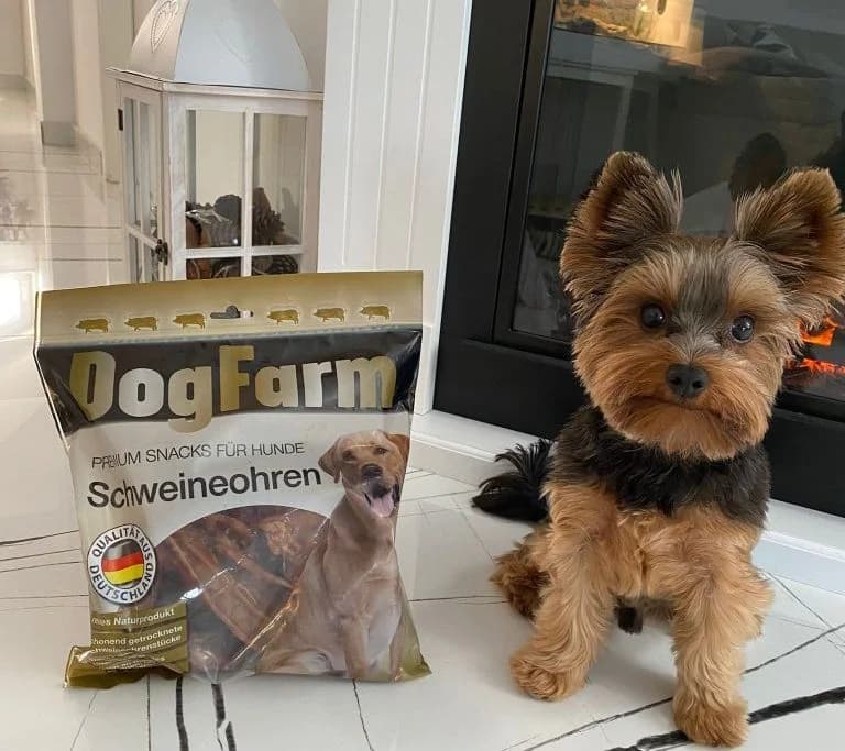 Tajne za zdrave i vesele ljubimce: nagradite ih Animal Kingdom 100% prirodnim slasticama koje će ih oduševiti!