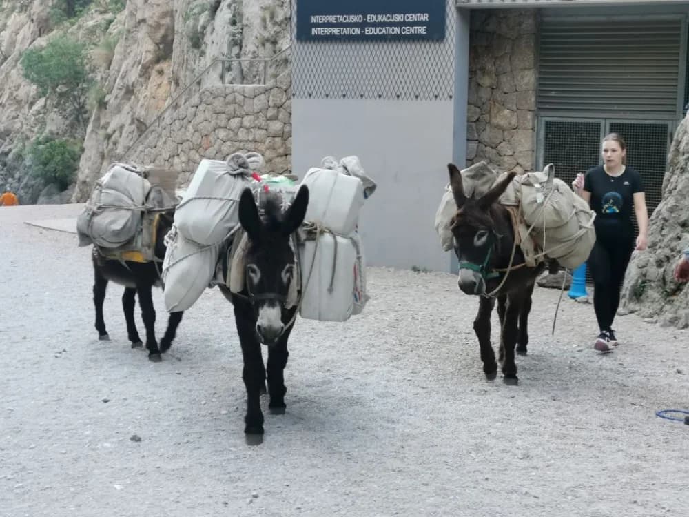 Jer volimo šumu, kamen i more: Planinari Mališćaka na Velebitu