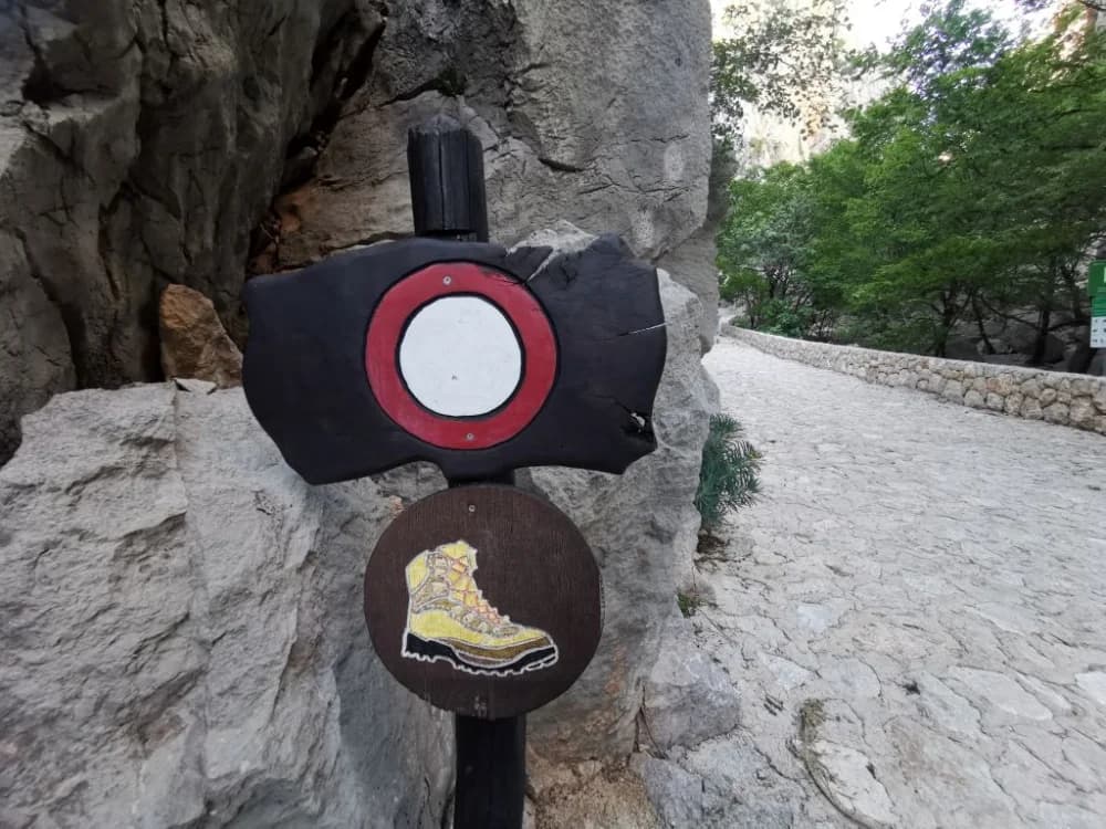 Jer volimo šumu, kamen i more: Planinari Mališćaka na Velebitu