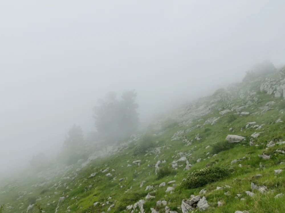 Jer volimo šumu, kamen i more: Planinari Mališćaka na Velebitu