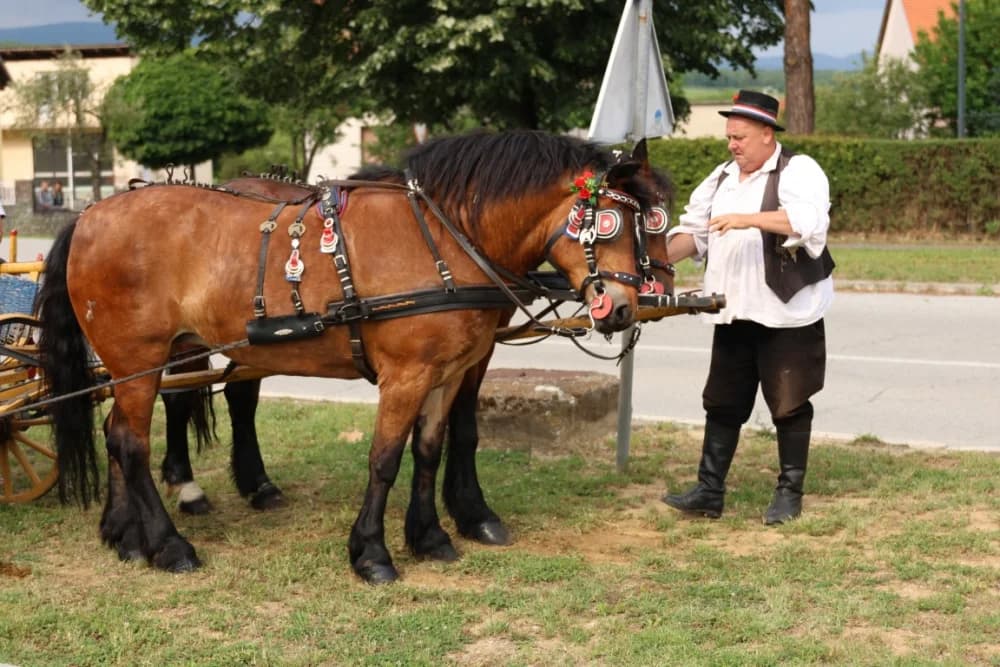 (VELIKA FOTOGALERIJA) Smotra folklora u Velikoj ʼČuvajmo običaje zavičajaʼ