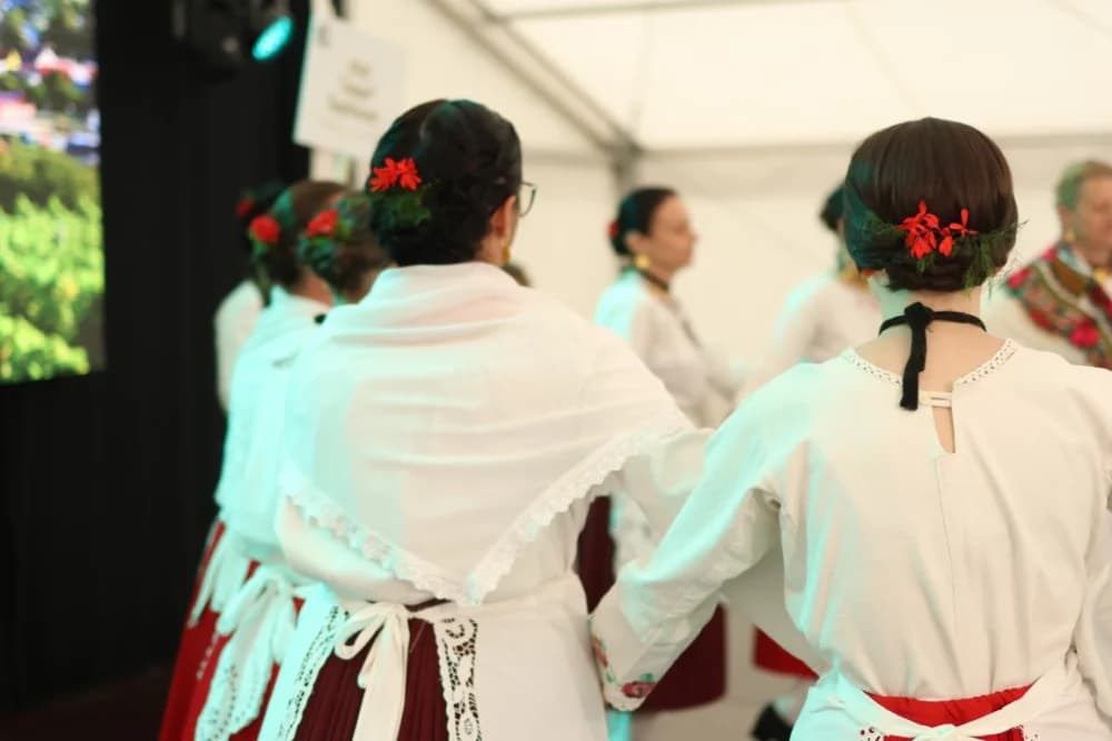 (VELIKA FOTOGALERIJA) Smotra folklora u Velikoj ʼČuvajmo običaje zavičajaʼ