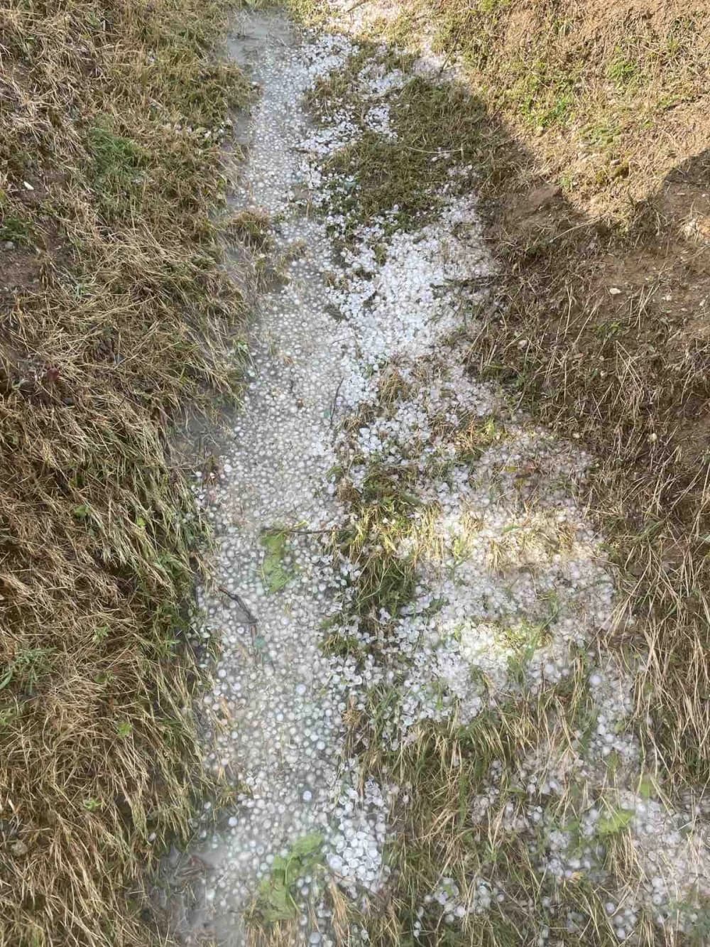 OLUJNO NEVRIJEME NA SJEVERU POŽEŠTINE: Tuča uništila vinograde i usjeve na području oko Vetova, Kaptola, Trenkova i okolnih mjesta