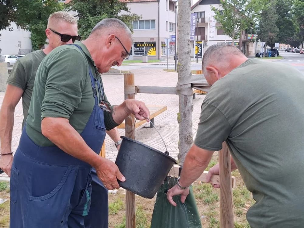 Vreće za zalijevanje postavljene su uz mlada stabla