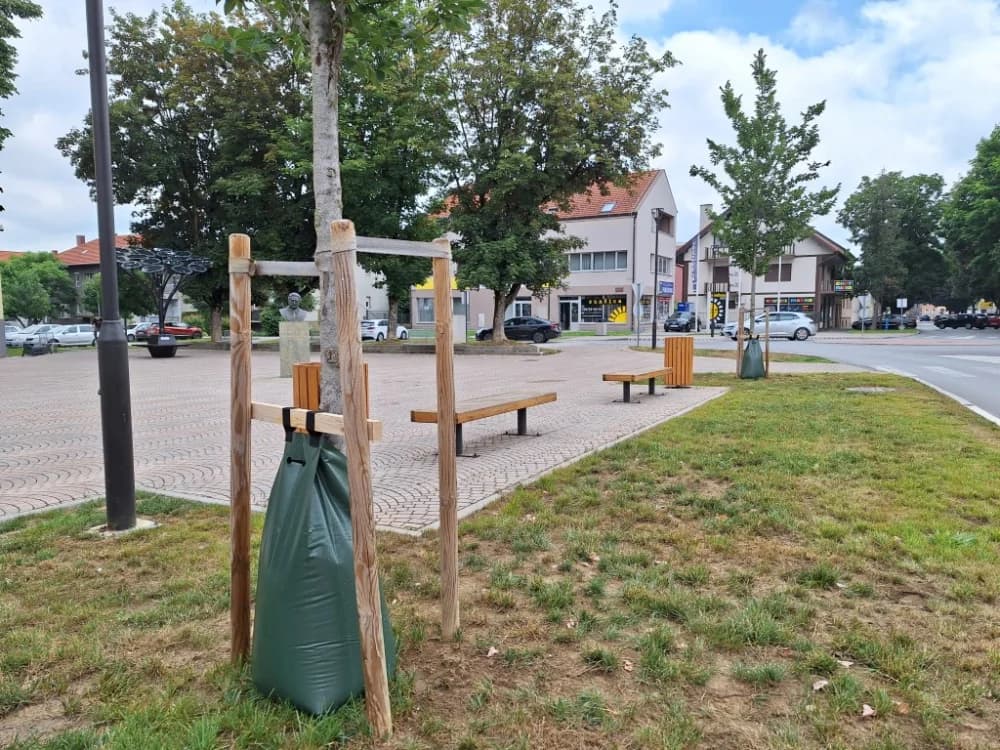 Vreće za zalijevanje postavljene su uz mlada stabla