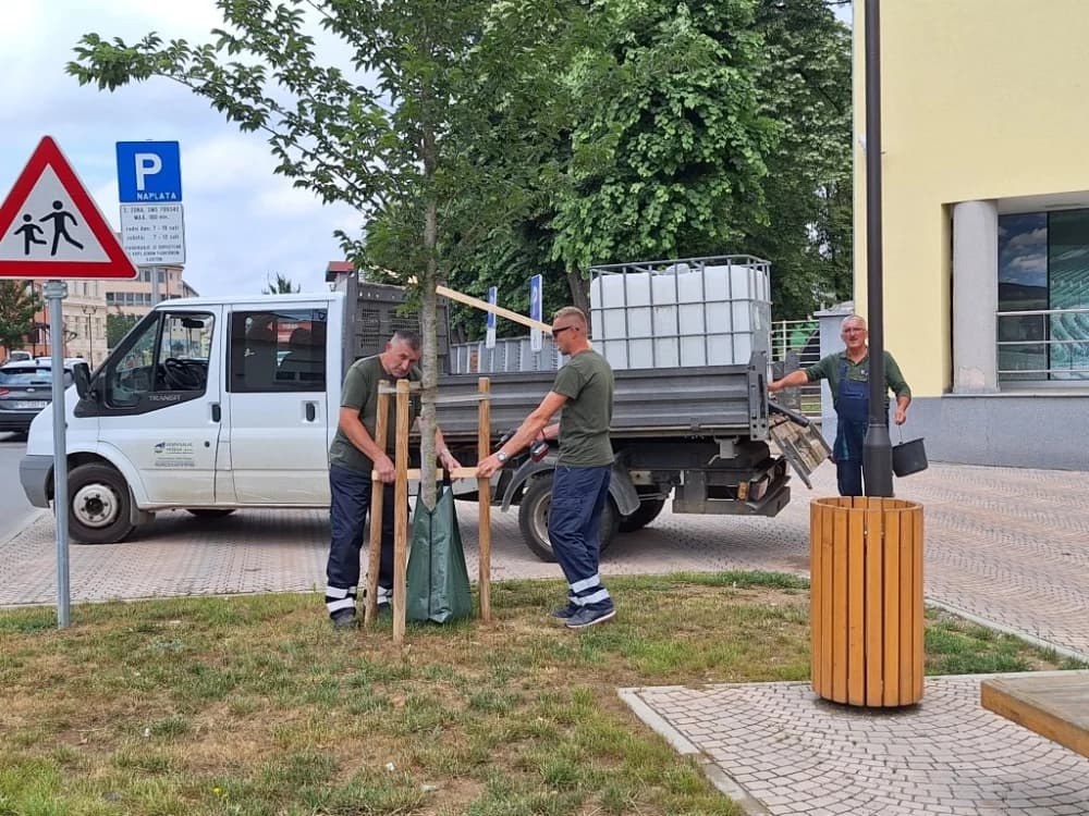 Vreće za zalijevanje postavljene su uz mlada stabla