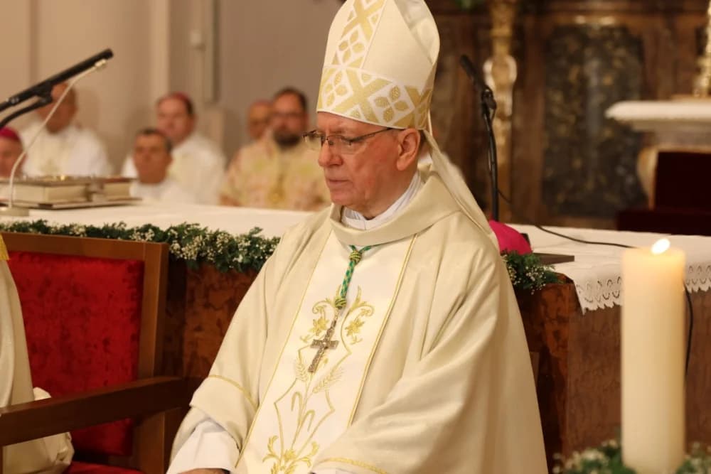 (VELIKA FOTOGALERIJA) Ređenje novog požeškog biskupa msgr. Ive Martinovića