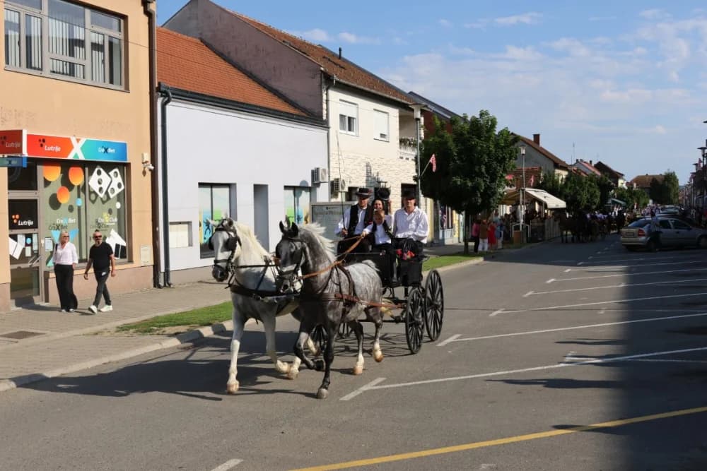 Jahačice, okićene konjske zaprege i članovi kulturno-umjetničkih društava krasili ulice grada Pleternice