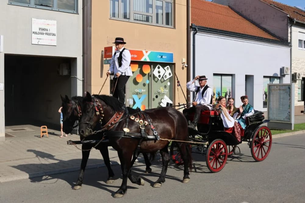 Jahačice, okićene konjske zaprege i članovi kulturno-umjetničkih društava krasili ulice grada Pleternice