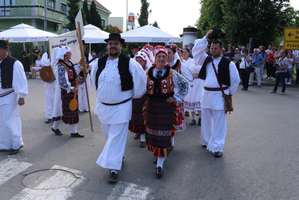 Jahačice, okićene konjske zaprege i članovi kulturno-umjetničkih društava krasili ulice grada Pleternice