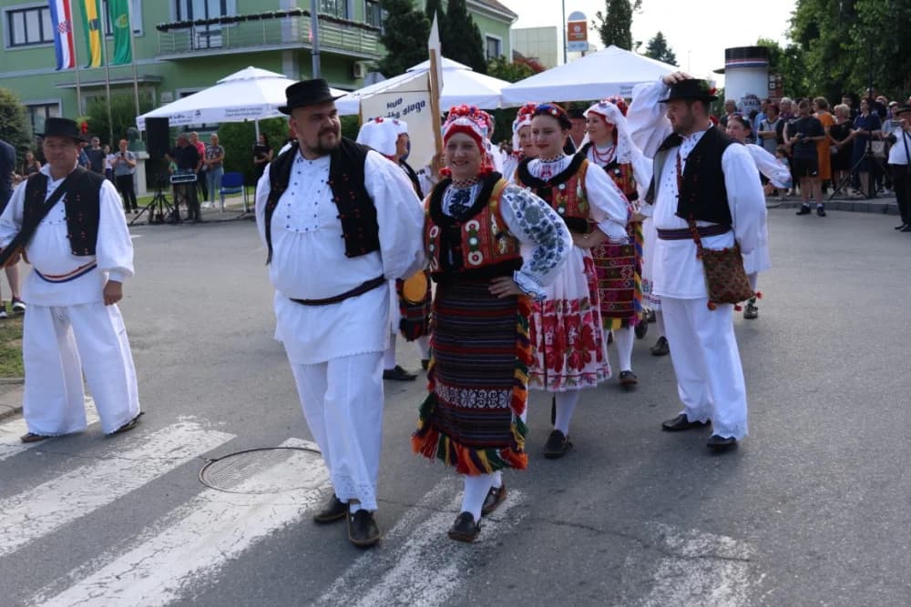 Jahačice, okićene konjske zaprege i članovi kulturno-umjetničkih društava krasili ulice grada Pleternice