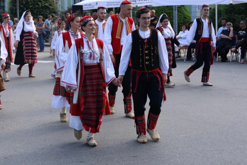 Jahačice, okićene konjske zaprege i članovi kulturno-umjetničkih društava krasili ulice grada Pleternice