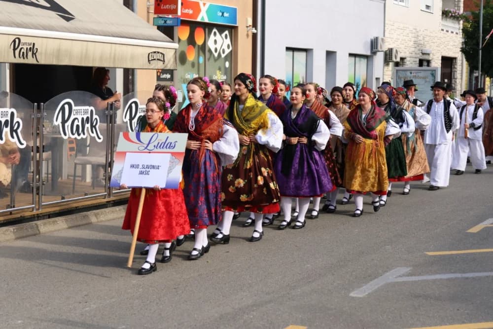 Jahačice, okićene konjske zaprege i članovi kulturno-umjetničkih društava krasili ulice grada Pleternice