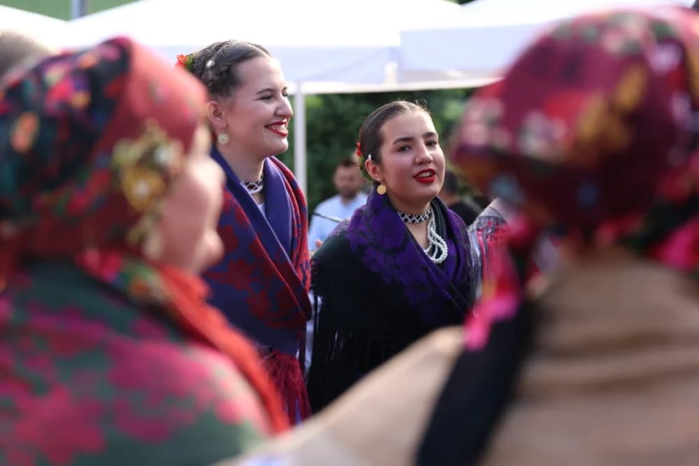 Jahačice, okićene konjske zaprege i članovi kulturno-umjetničkih društava krasili ulice grada Pleternice
