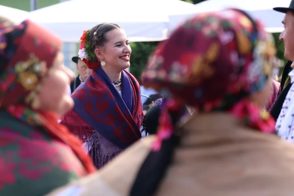 Jahačice, okićene konjske zaprege i članovi kulturno-umjetničkih društava krasili ulice grada Pleternice