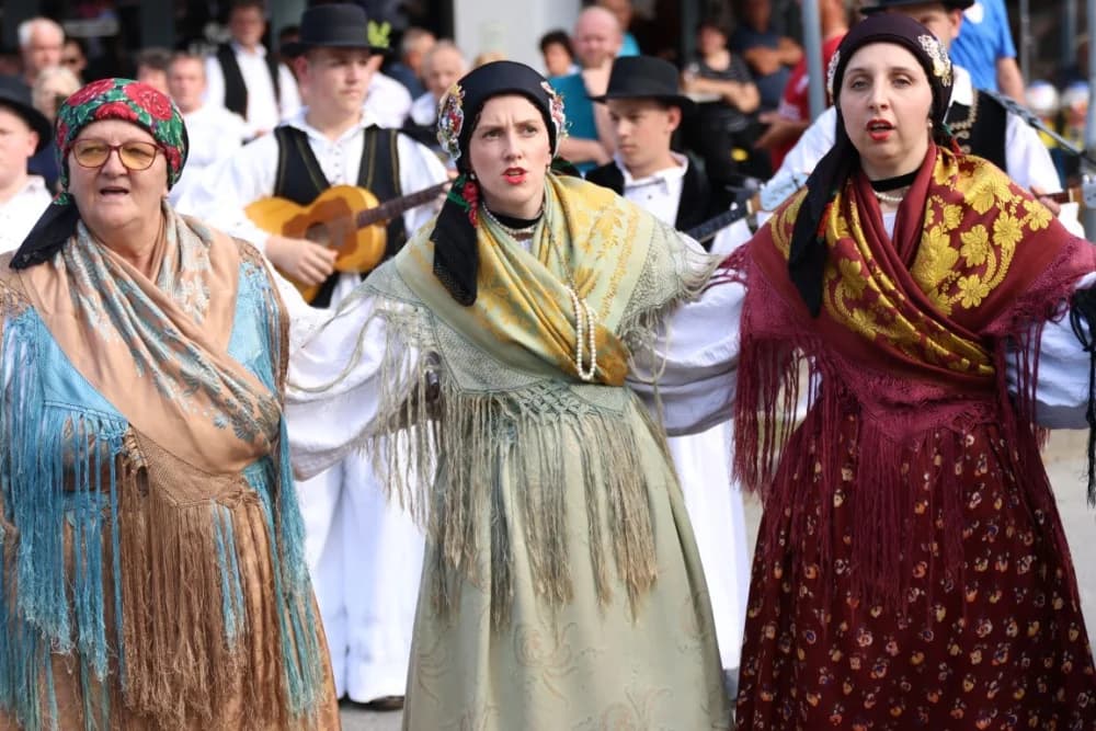 Jahačice, okićene konjske zaprege i članovi kulturno-umjetničkih društava krasili ulice grada Pleternice