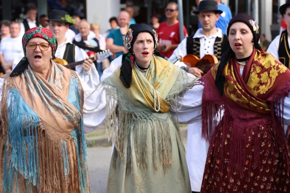Jahačice, okićene konjske zaprege i članovi kulturno-umjetničkih društava krasili ulice grada Pleternice