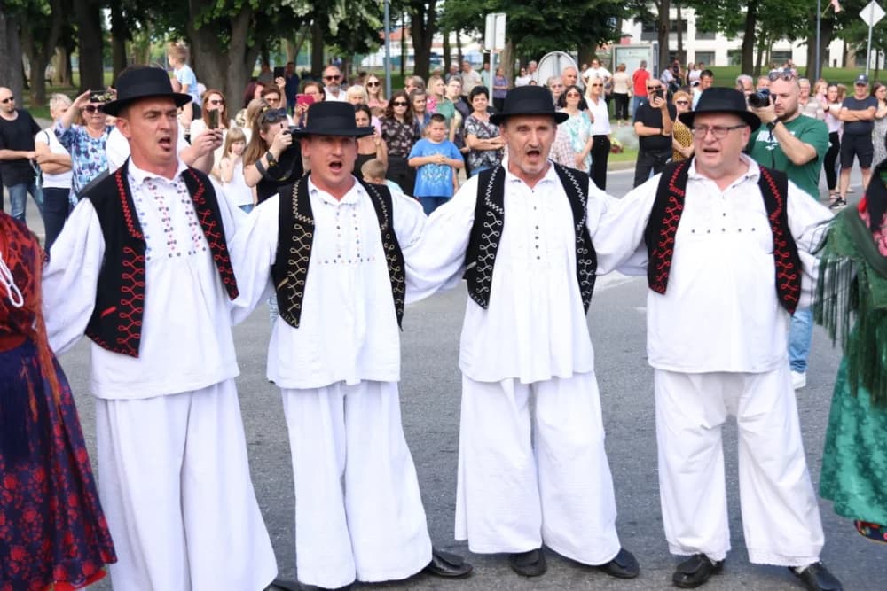 Jahačice, okićene konjske zaprege i članovi kulturno-umjetničkih društava krasili ulice grada Pleternice