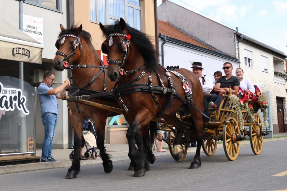 Jahačice, okićene konjske zaprege i članovi kulturno-umjetničkih društava krasili ulice grada Pleternice