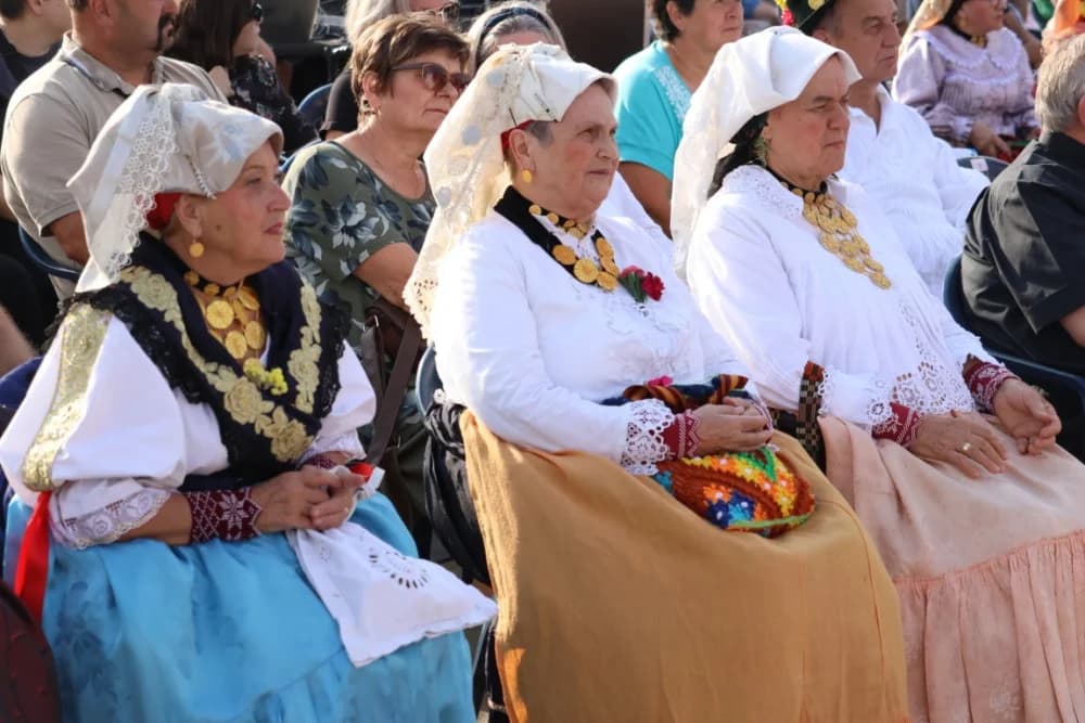 /FOTOGALERIJA/ Tradicionalna smotra folklora u Pleternici u sklopu LIDAS-a