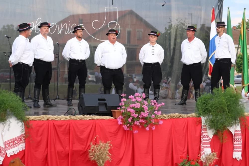 /FOTOGALERIJA/ Tradicionalna smotra folklora u Pleternici u sklopu LIDAS-a