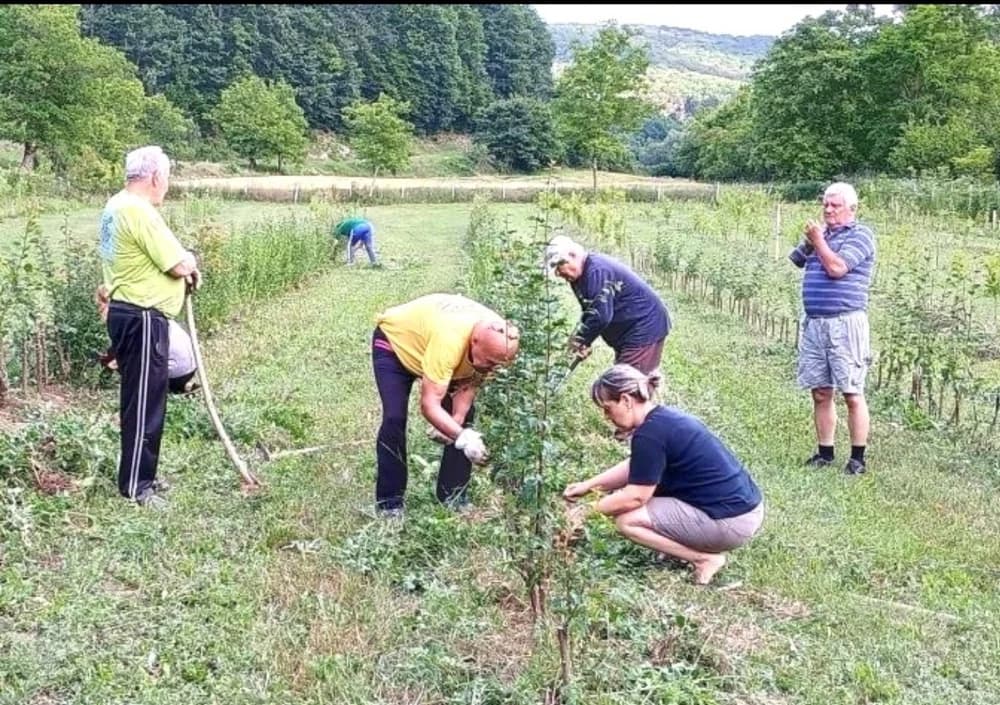 UDRUGA PUT IZ RUŠEVA: U Djedinoj Rijeci proveli akciju plijevljenja starih sorti voćaka