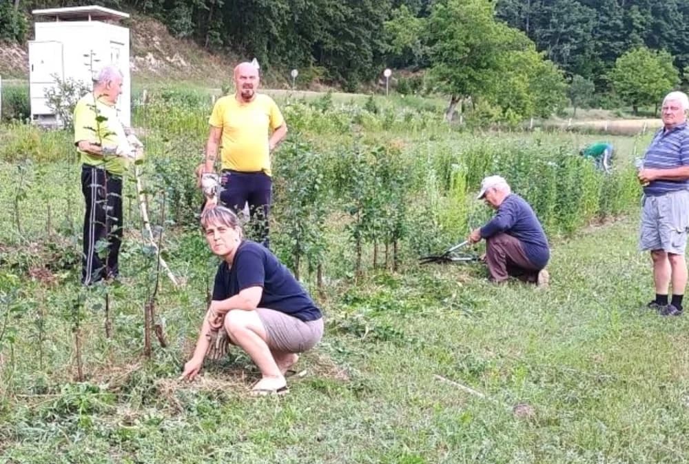 UDRUGA PUT IZ RUŠEVA: U Djedinoj Rijeci proveli akciju plijevljenja starih sorti voćaka