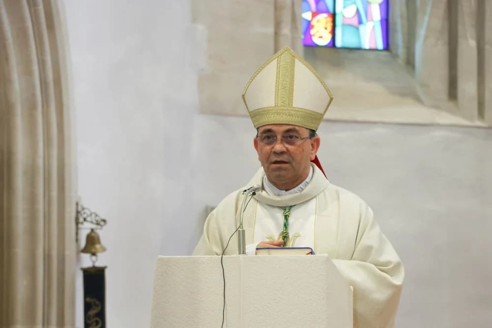 BISKUPIJSKO HODOČAŠĆE ZDRAVSTVENIH DJELATNIKA GOSPI VOĆINSKOJ