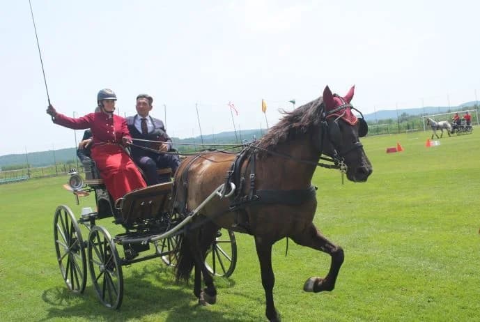 PLETERNICA: Vožnjom preciznosti završen trodnevni Međunarodni konjički turnir