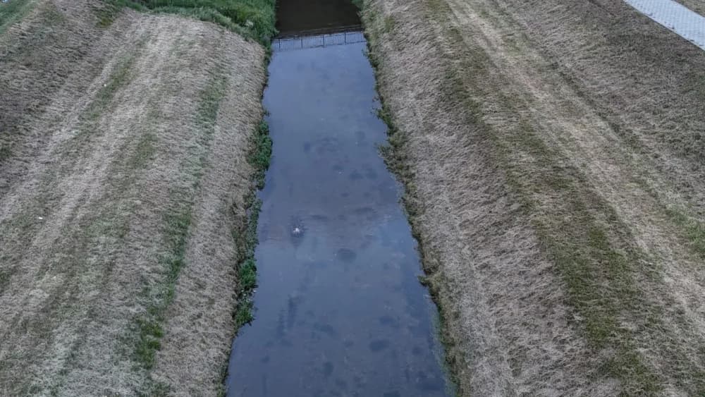 Sada pomor ribe u Veličanki i kod Gradske kuglane Požega: Utvrđuju li nadležne inspekcije uzrok?