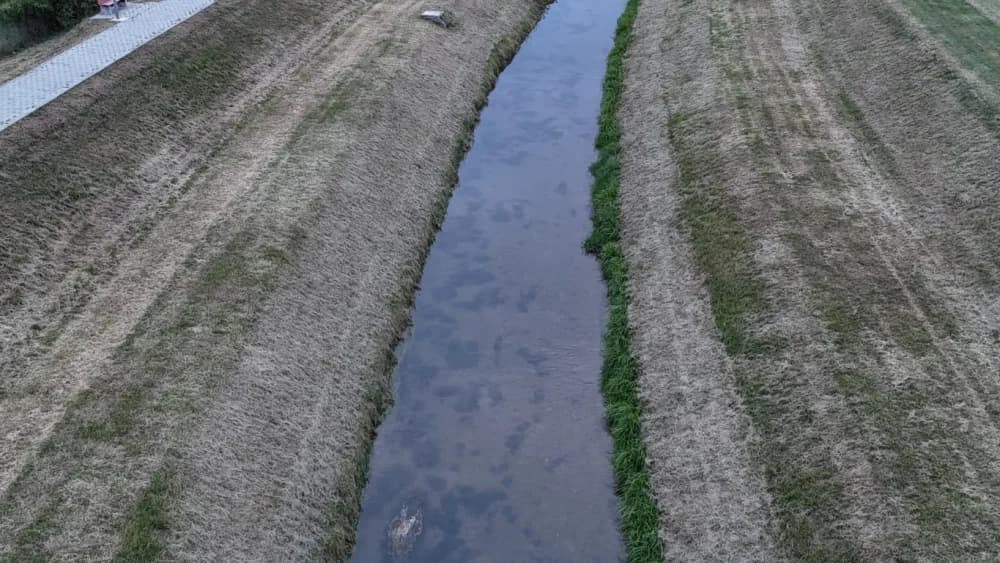 Sada pomor ribe u Veličanki i kod Gradske kuglane Požega: Utvrđuju li nadležne inspekcije uzrok?