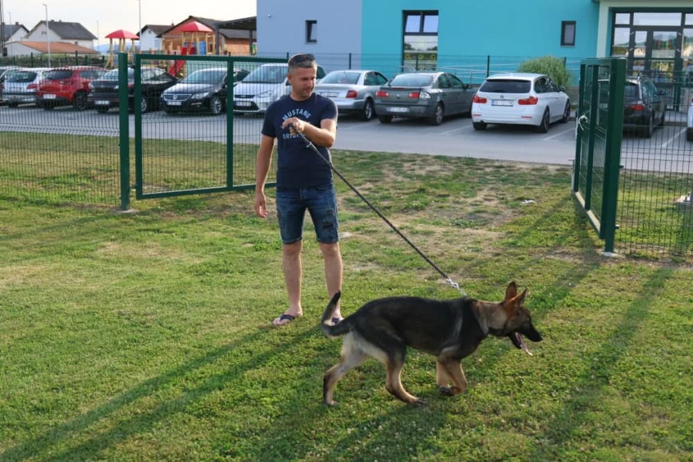 Tena i Tinki te Hrvoje i Skar pobjednici na Reviji pasa u Kutjevu