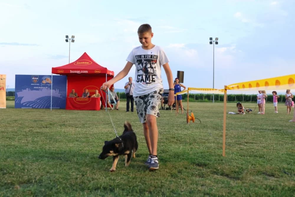 Tena i Tinki te Hrvoje i Skar pobjednici na Reviji pasa u Kutjevu