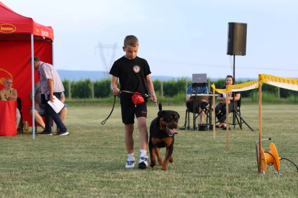Tena i Tinki te Hrvoje i Skar pobjednici na Reviji pasa u Kutjevu