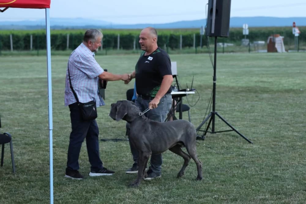 Tena i Tinki te Hrvoje i Skar pobjednici na Reviji pasa u Kutjevu