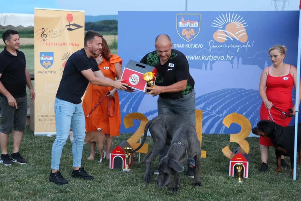 Tena i Tinki te Hrvoje i Skar pobjednici na Reviji pasa u Kutjevu