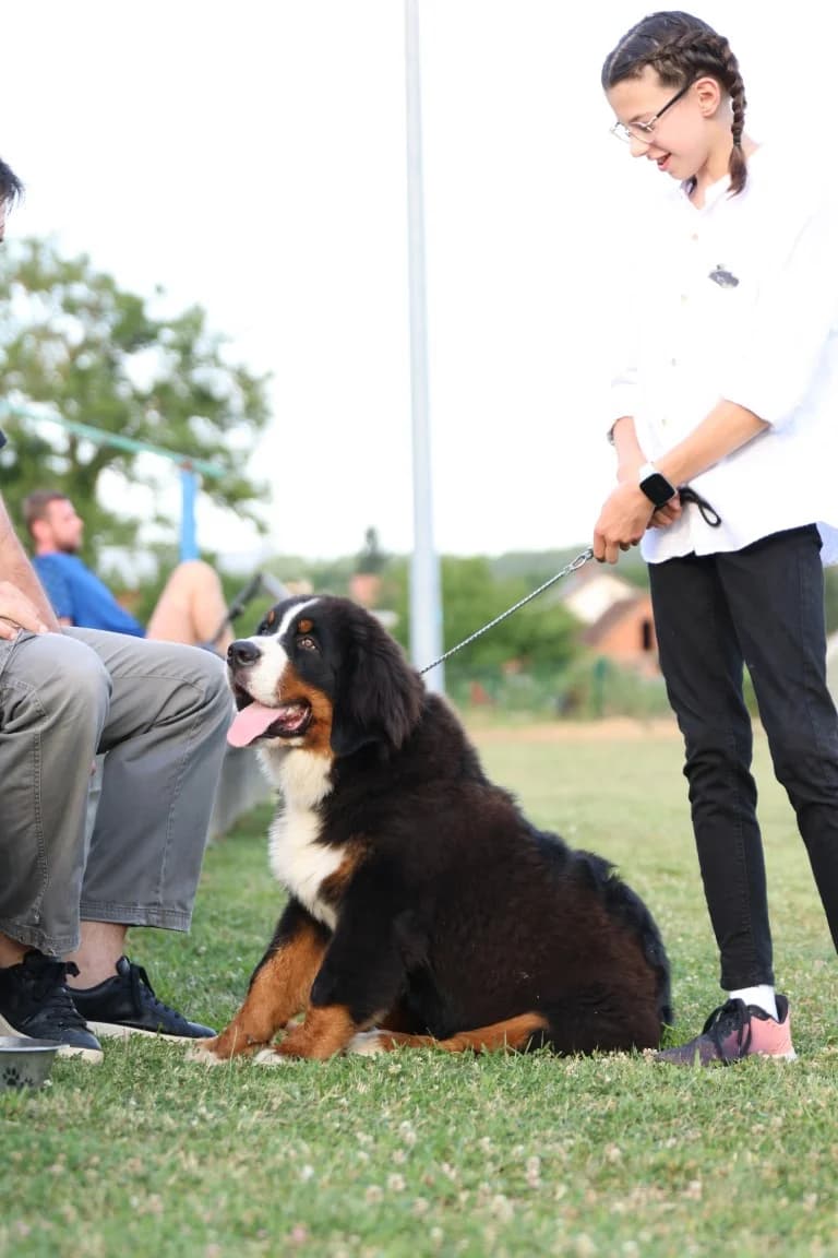 Tena i Tinki te Hrvoje i Skar pobjednici na Reviji pasa u Kutjevu