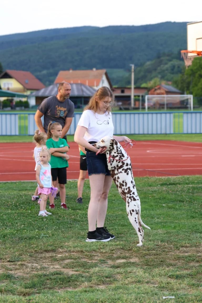 Tena i Tinki te Hrvoje i Skar pobjednici na Reviji pasa u Kutjevu