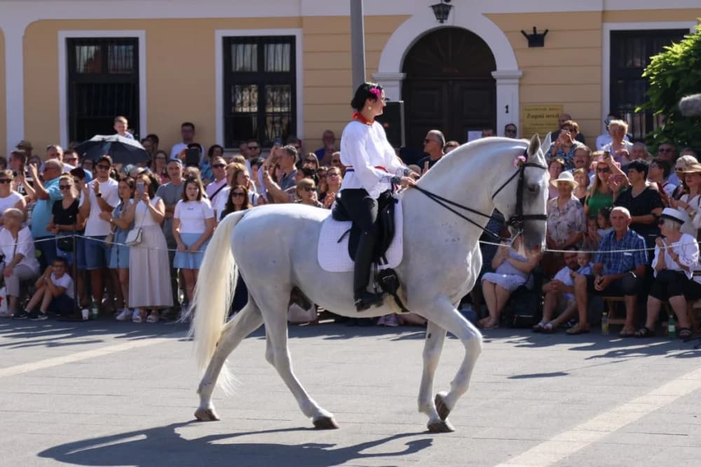 /VELIKA FOTOGALERIJA/ Ljepota tradicije i bogatstvo narodnih običaja dočarana na 58. Đakovačkim vezovima