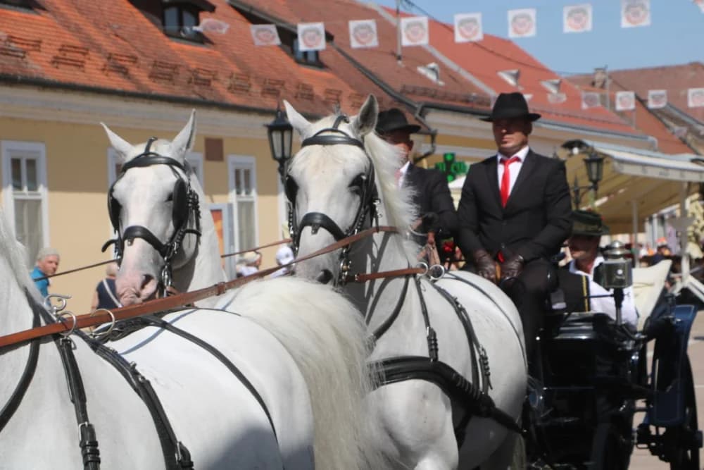 /VELIKA FOTOGALERIJA/ Ljepota tradicije i bogatstvo narodnih običaja dočarana na 58. Đakovačkim vezovima