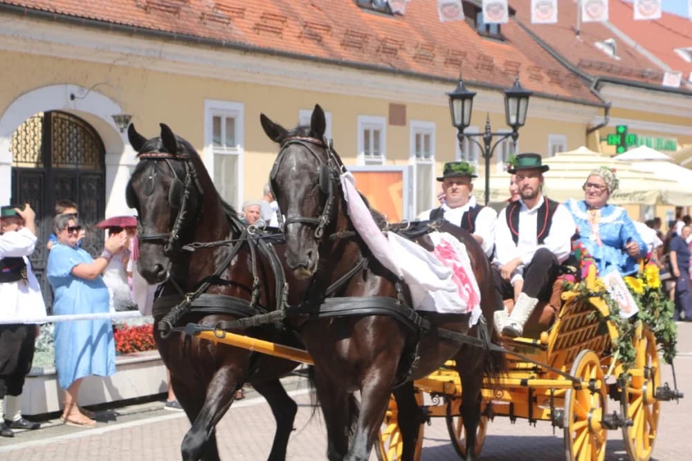 /VELIKA FOTOGALERIJA/ Ljepota tradicije i bogatstvo narodnih običaja dočarana na 58. Đakovačkim vezovima