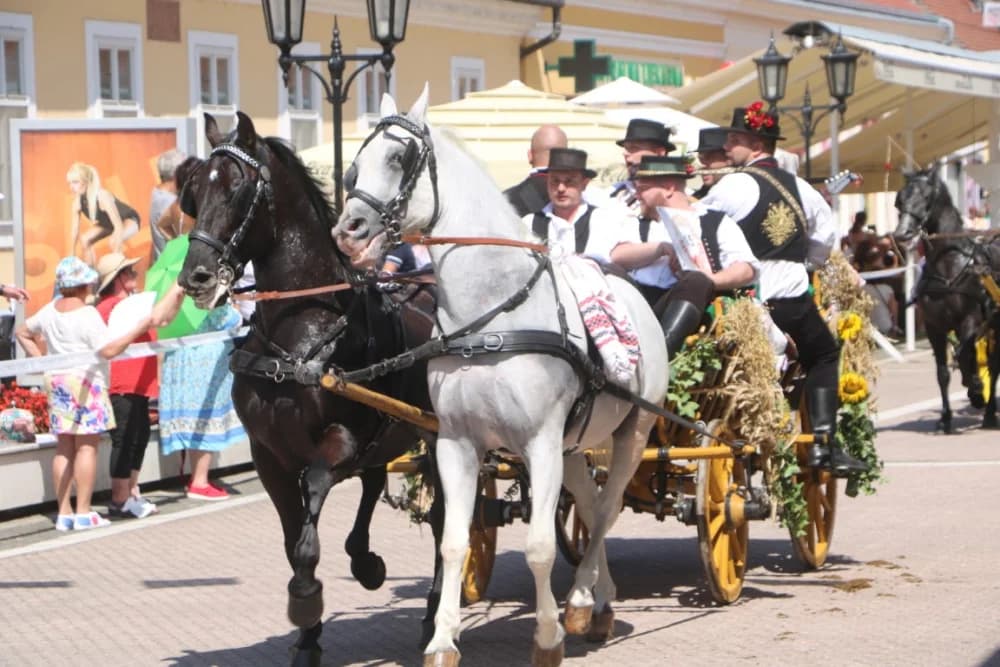 /VELIKA FOTOGALERIJA/ Ljepota tradicije i bogatstvo narodnih običaja dočarana na 58. Đakovačkim vezovima