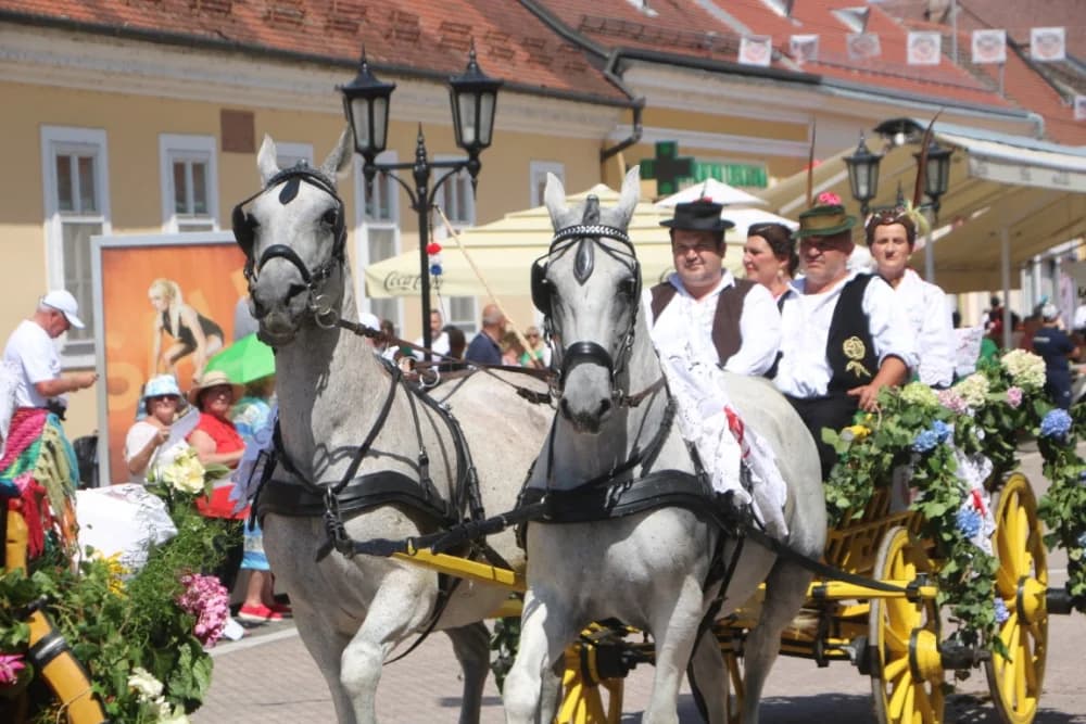 /VELIKA FOTOGALERIJA/ Ljepota tradicije i bogatstvo narodnih običaja dočarana na 58. Đakovačkim vezovima
