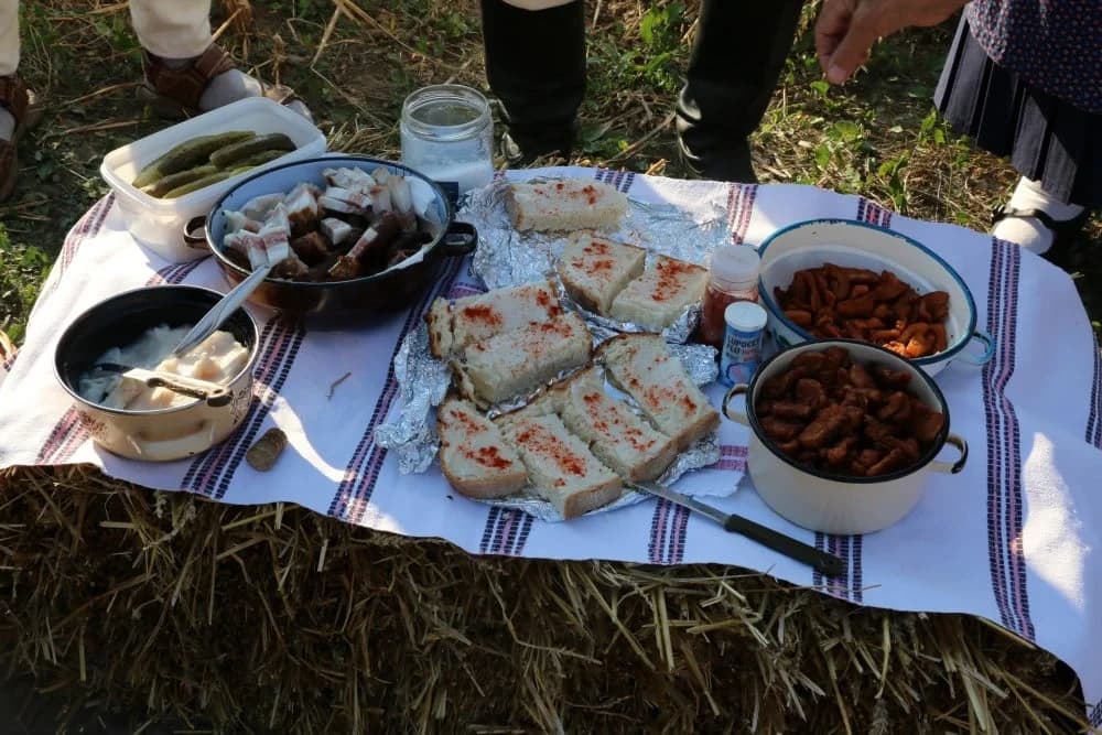 GOSTOVANJE U SUSJEDSTVU: Jakšićki Slovaci se dobro predstavili kod zemljaka