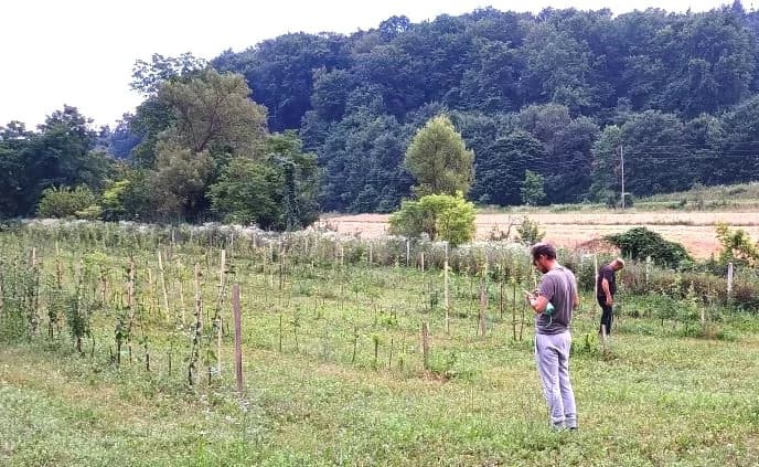 Nova radna akcija u Djedinoj Rijeci na površini sa starim sortama voćaka