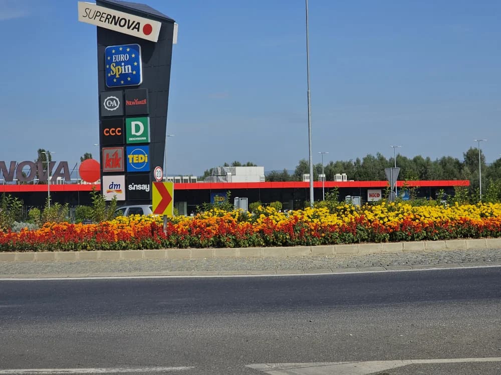 Cvijeće počupano opet kad je najljepše: Građani ljuti, Grad tvrdi nemamo ništa s tim, a Komunalac suprotno [FOTO]