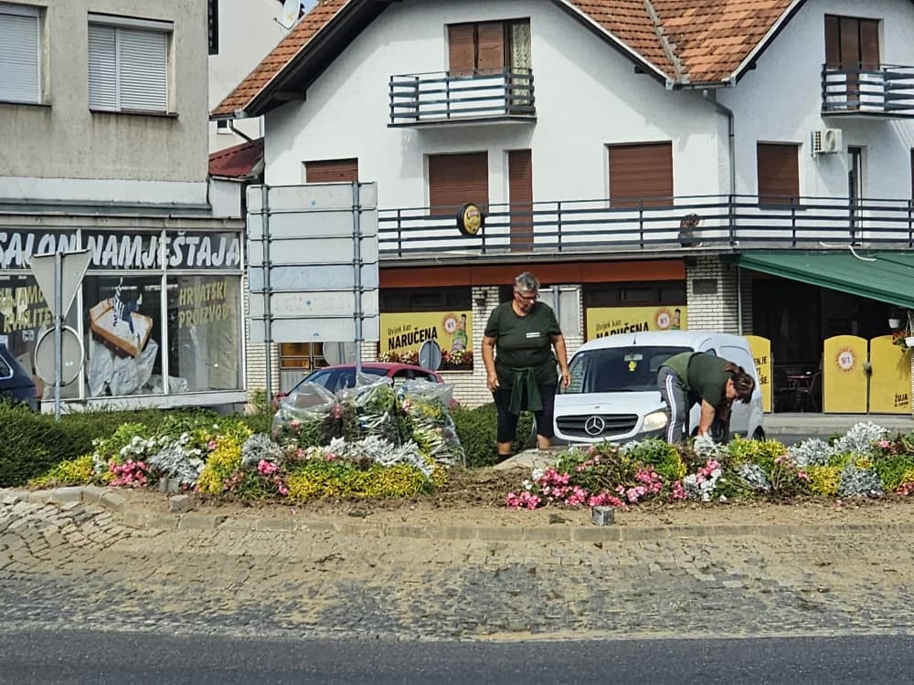 Cvijeće počupano opet kad je najljepše: Građani ljuti, Grad tvrdi nemamo ništa s tim, a Komunalac suprotno [FOTO]